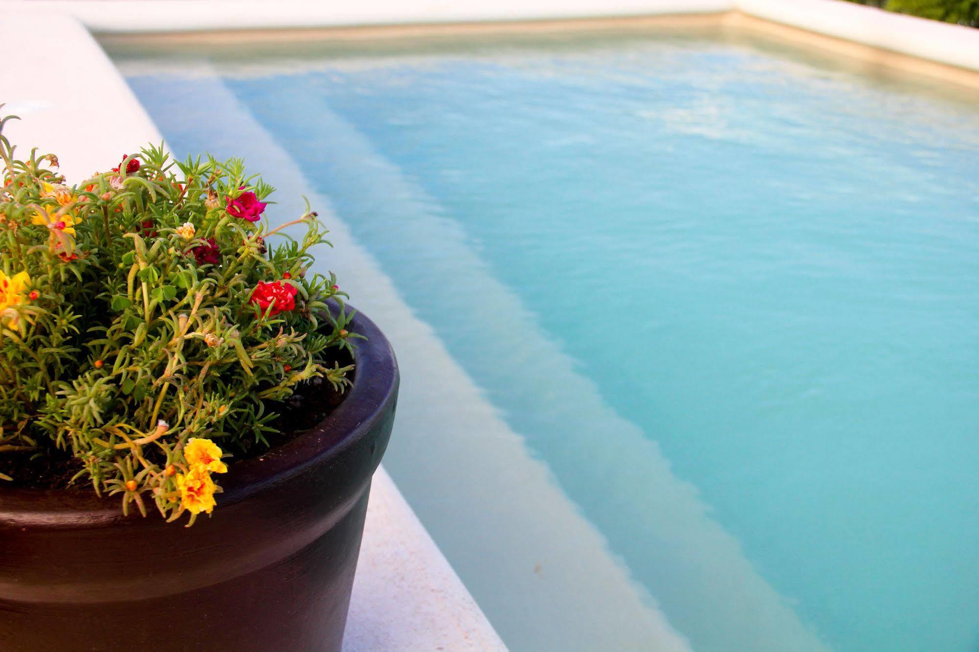La Galeria By Bunik Hotel Playa del Carmen Exterior photo