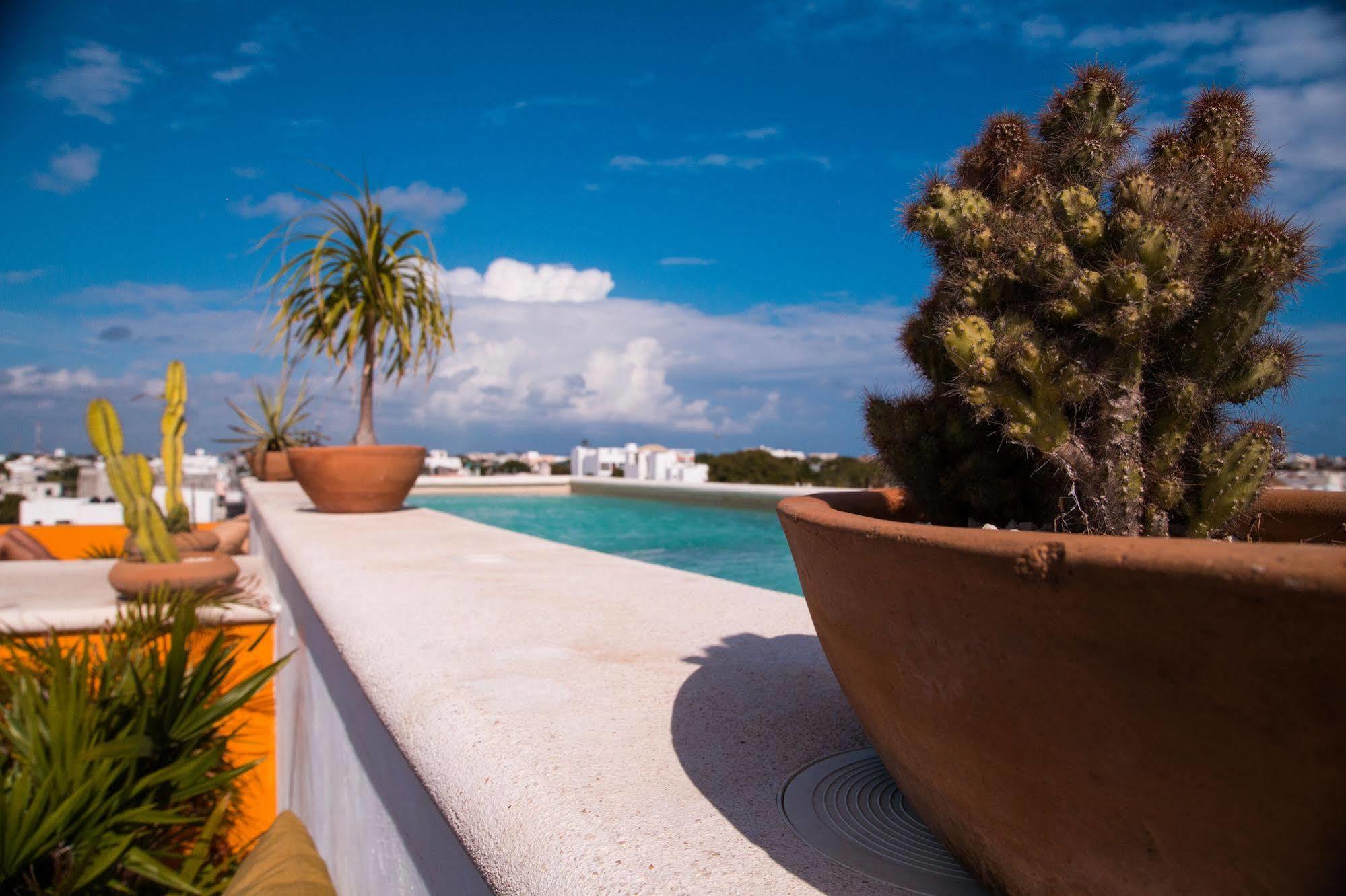 La Galeria By Bunik Hotel Playa del Carmen Exterior photo