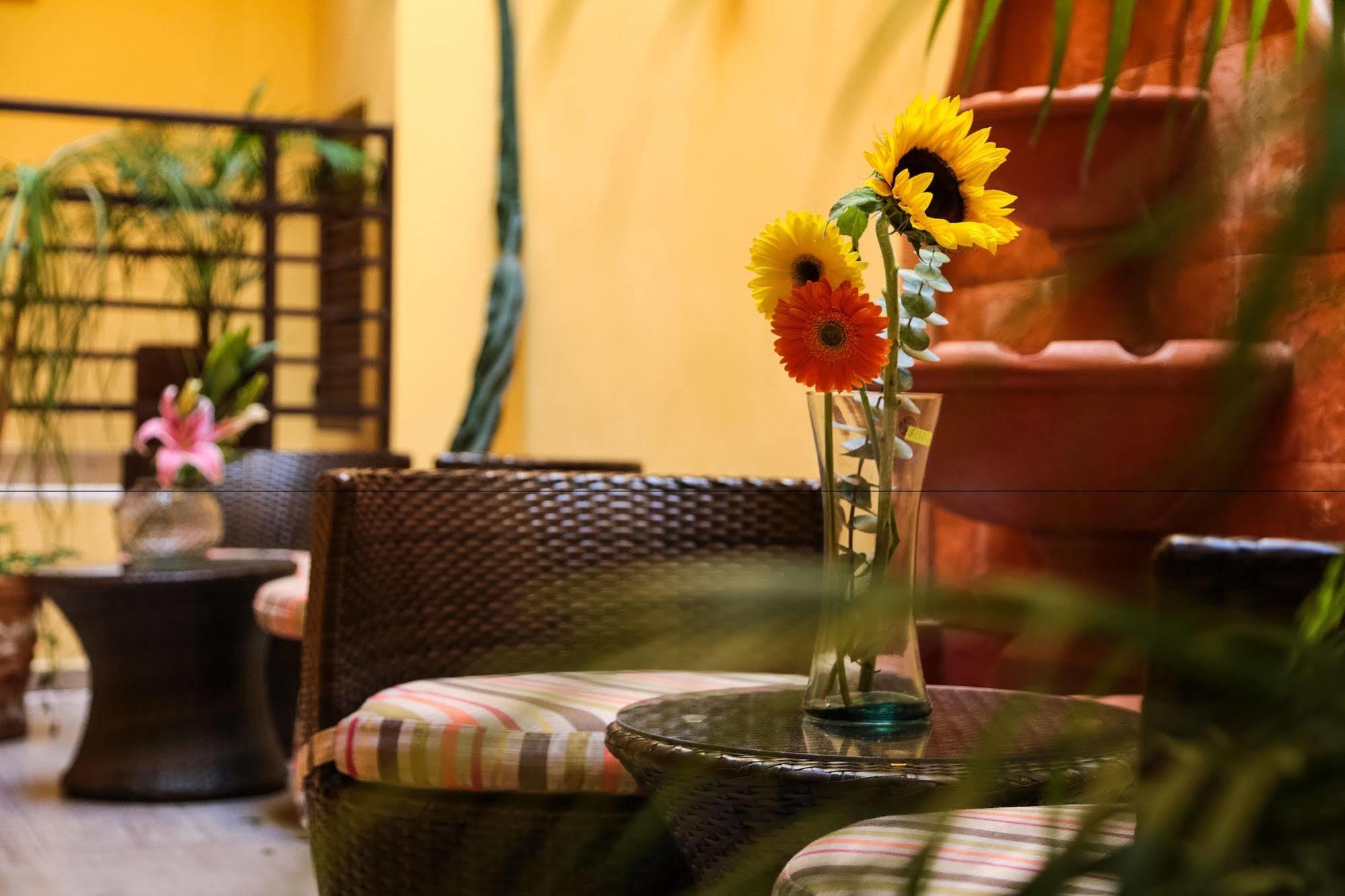 La Galeria By Bunik Hotel Playa del Carmen Exterior photo